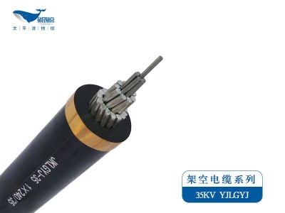 架空電纜系列JKLYJ，JKLGYJ 0.6/1KV